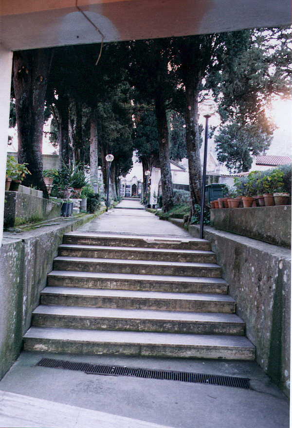 Steps in Cerisano, Calabria