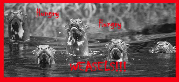 HUNGRY, HUNGRY WEASELS!!!!!  AAAAAAHHHHHH!!!!