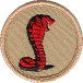 Cobra Patrol